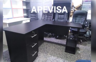 Publica-Direectorium-1